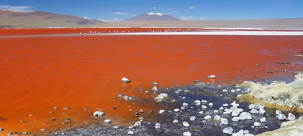 Chile Trekking, Bolivien Trekking