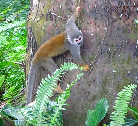 Hilfsprojekte in Ecuador