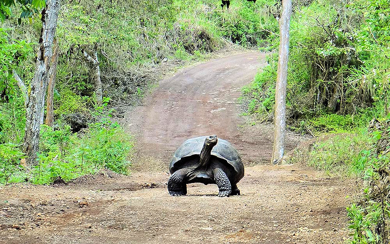 Hilfsprojekte in Ecuador