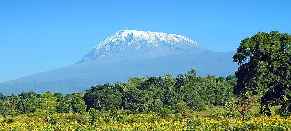 Sichere Privat-Reise - Kilimanjaro Besteigung