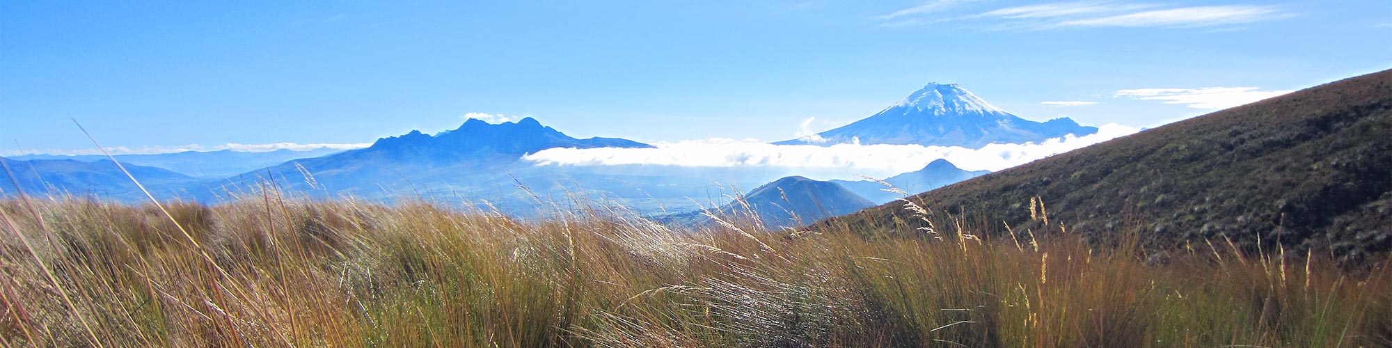 Cotopaxi - Trekking zum Vulkan