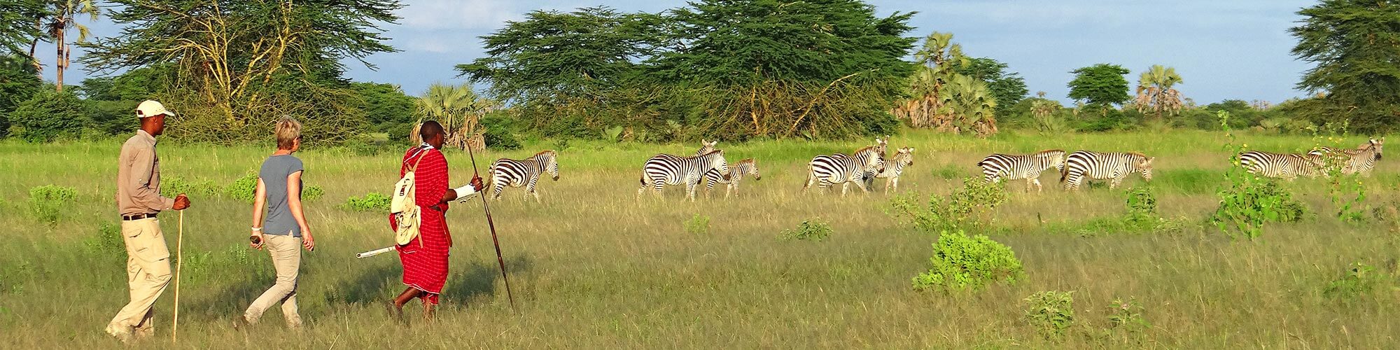 Safari in Tanzania - erlebnisreiche Naturreise