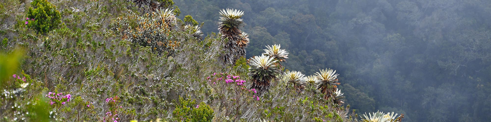 Kolumbien Trekking