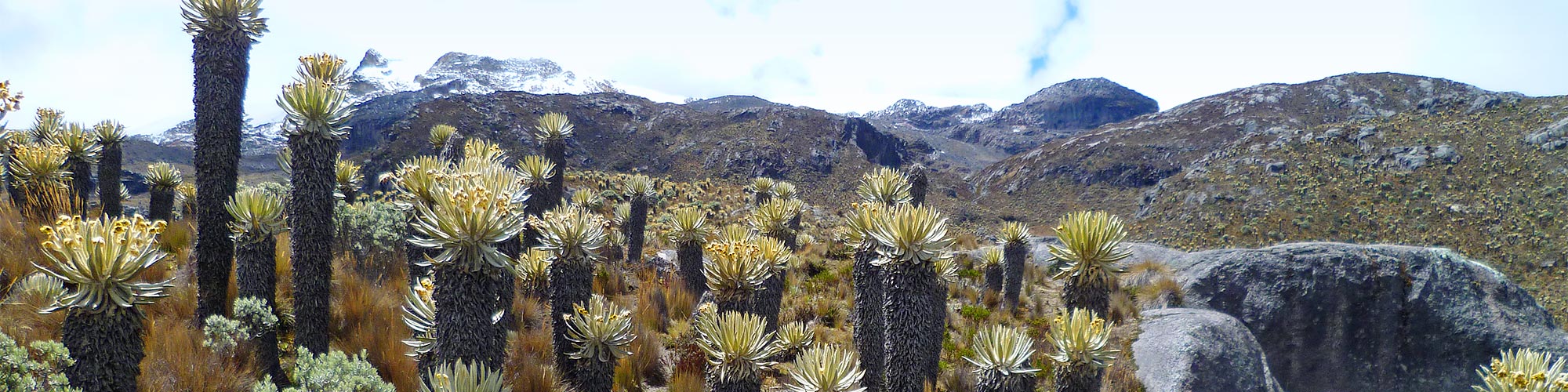 Kolumbien Trekking in den Anden