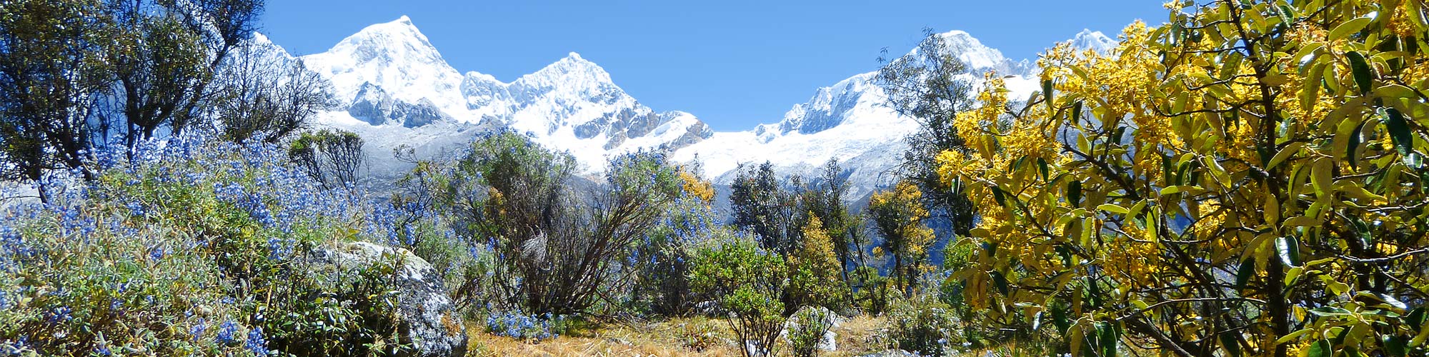 Peru Trekking Alpamayo
