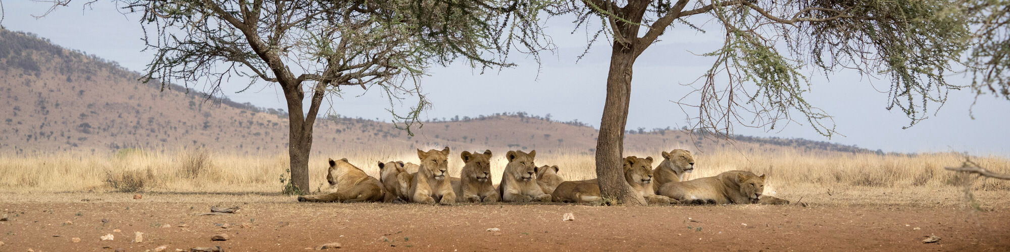 Suedtanzania Naturreise Bild 6