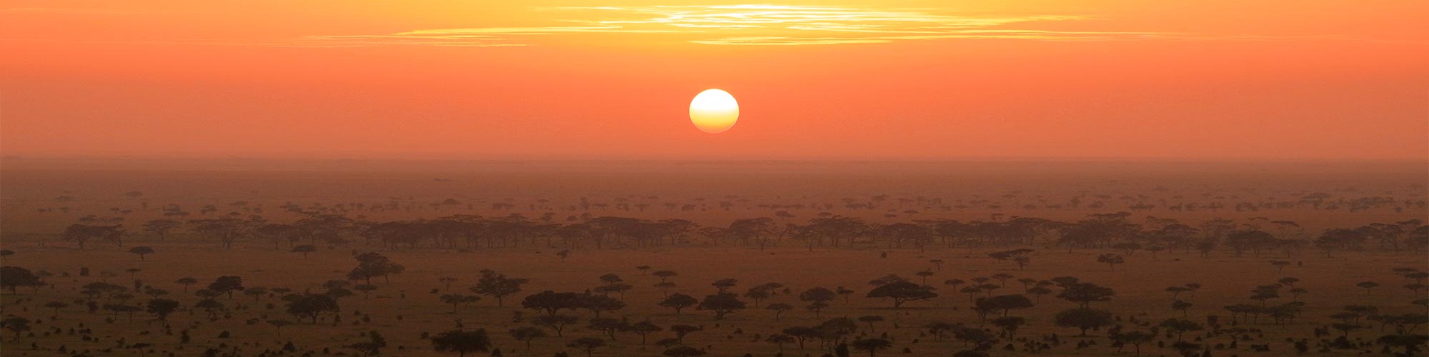 Fuss-Safari mit Aktivferien AG