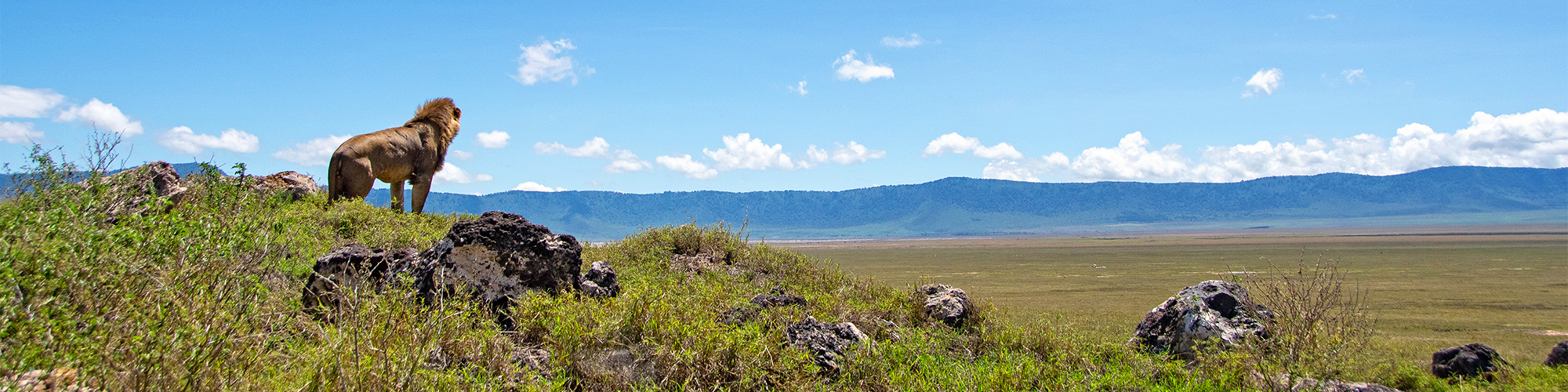 Fuss-Safari in Tanzania