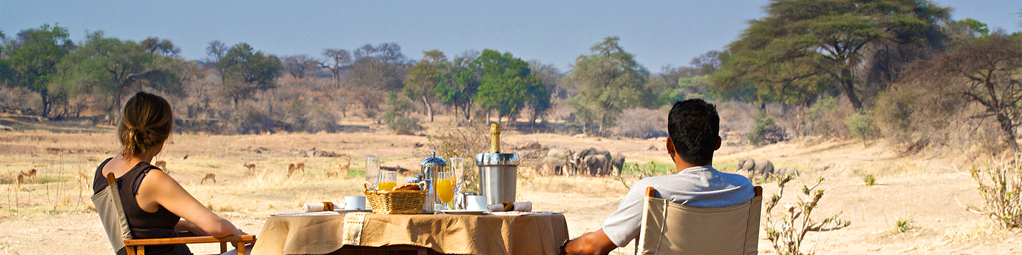 Safari in Westtanzania - ganz nah, mittendrin