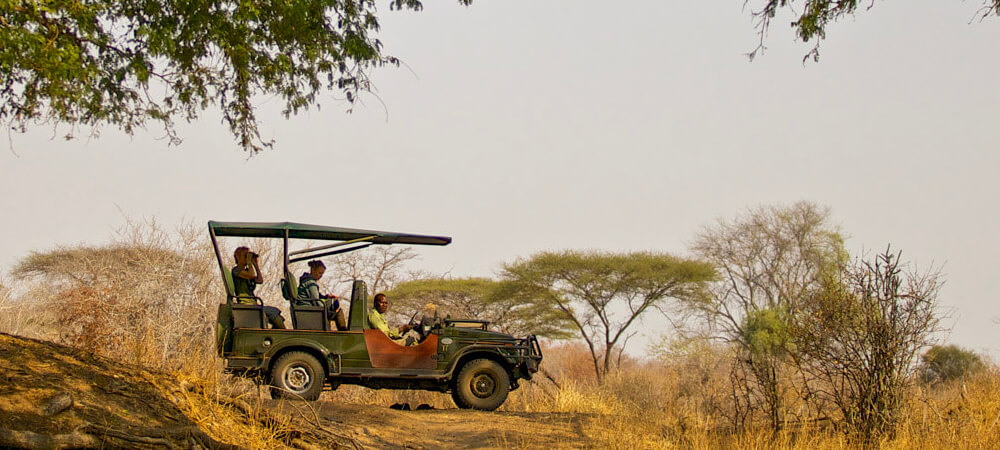 Südtanzania, Safari in Afrika
